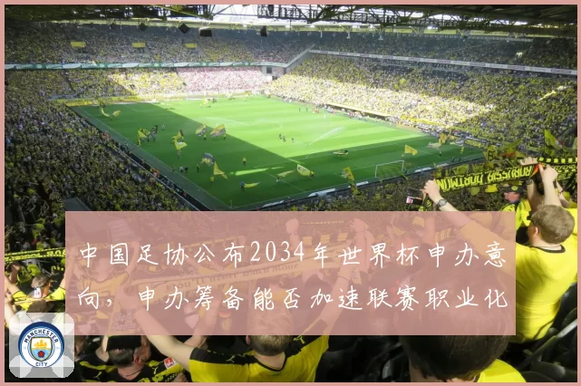 中国足协公布2034年世界杯申办意向,申办筹备能否加速联赛职业化进程?