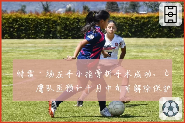 特雷·杨左手小指骨折手术成功,老鹰队医预计十月中旬可解除保护